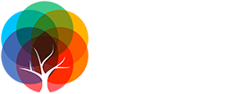 BML Munjal University